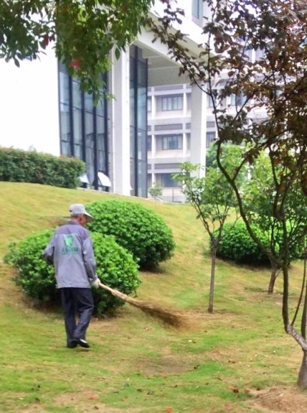 21765289_10214628783021565_3940795605351965642_n (1)