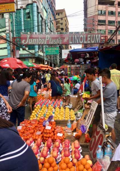 51544827_10218758613504746_7490417853212917760_n