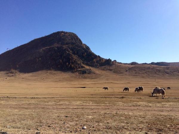 22310480_10214825975111244_8420312030420368634_n